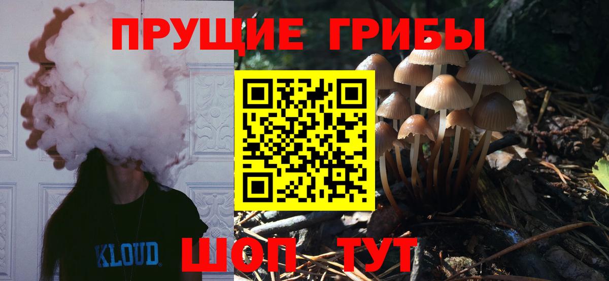 Тверь  Псилоцибиновые грибы ЛСД  Вход с VPN 